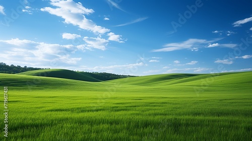 green grass field and bright blue sky © muza