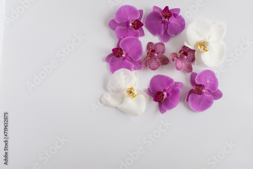 Pink and tiger and white orchid flowers lie on a grey background for publication, poster, calendar, post, screensaver, wallpaper, postcard, banner, cover, website, top view. High quality photo