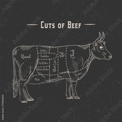 Poster beef cutting scheme lettering in vintage style drawing with chalk on chalkboard background