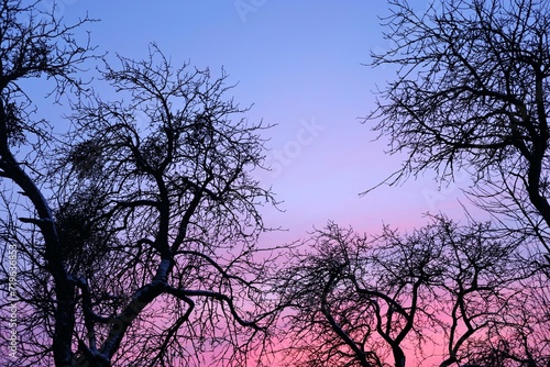 Beautiful sky at sunset in pink and purple colors. Beautiful natural background