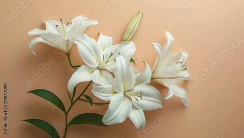 white lilies on a white background, top view of a bouquet in Japanese style