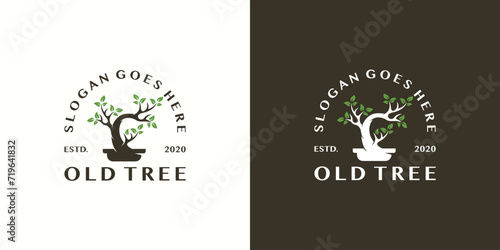 Creative Old Tree Logo. Bonsai Tree Logo, Oriental Art, Japanese Mini Small Tree Logo Icon Symbol Vector Design Template.