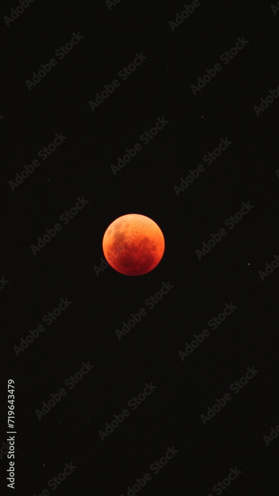 moon moon