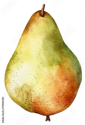 Watercolor illustration of pear. Fruit, summer. Transparent background, png
