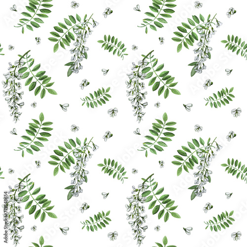 Botanic pattern with acacia leaves and flowers  isolated on white background. Watercolor hand drawn seamless pattern. Design illustration textile composition for decoration.