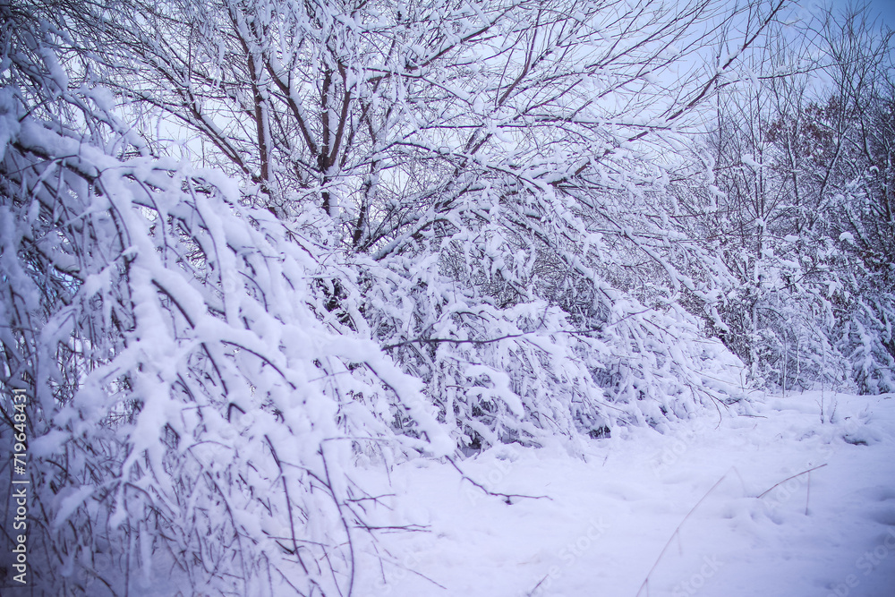 Snow Landscapes out in the country side of the Midwest Snow Landscapes out in the country side of the Midwest