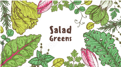 Salad greens frame. Healthy food. Hand drawn vector illustration. Cooking salad. Vegan food.