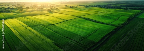 Aerial View of Sprawling Green Field, Lush With Vegetation