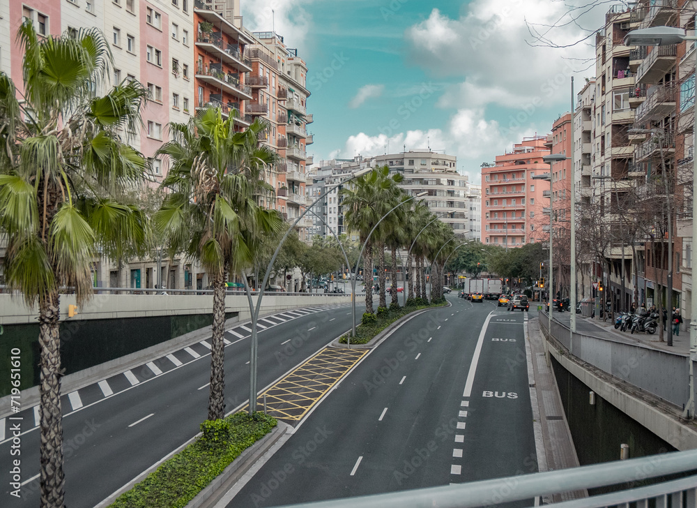 A Spanish street motorway in Barcelona with coconut palm trees