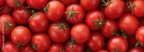 Large Group of Red Tomatoes With Water Droplets © Max Fry Design