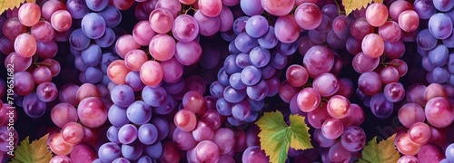 Cluster of Purple Grapes Hanging From Tree © FryArt Studio