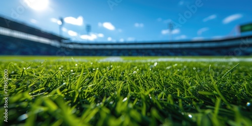 Low angle view on a green grass stadium field © piai