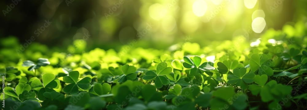 Lush Green Plants Thriving in Forest Setting Lush Green Plants Thriving in Forest Setting