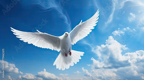 Dove in the air with wings wide open in-front of the sun