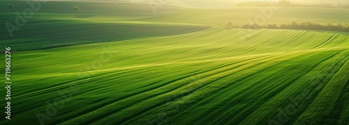Aerial View of Expansive Green Field With Rolling Hills © FryArt