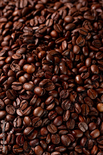 Grão de café coffee bean © Felipe