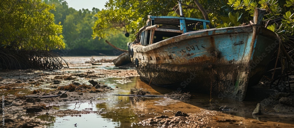 The fishermen s small wooden boats are not in use causing damage to the community and the mangrove forests are filled with mud during low tide. Copy space image. Place for adding text