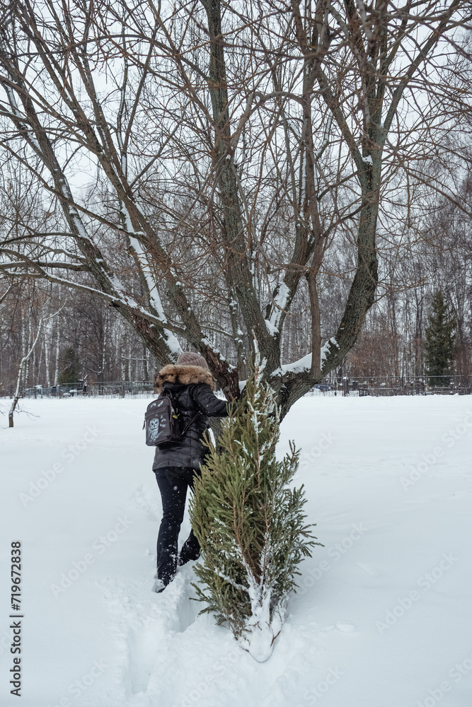 winter, new year, woman, Christmas tree, without a face