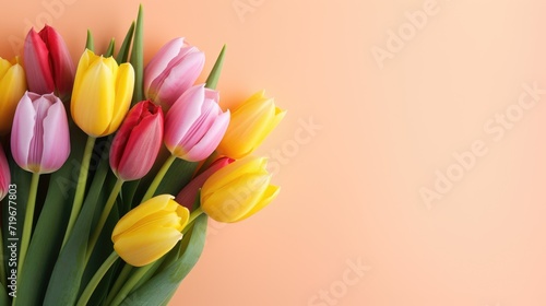tulip bouquet on a color plain background with copy space