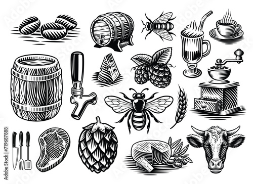 Vector illustrations in engraving style