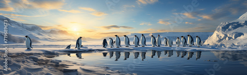 Panorama Pinguine Antarktis