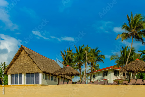 beach with palm trees and buildings © Elena