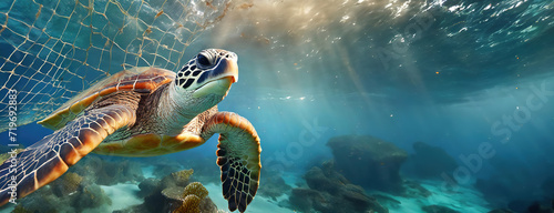 Sea turtle entangled in a fishing net underwater. Endangered turtle caught in a mesh with sunlight piercing through the water surface