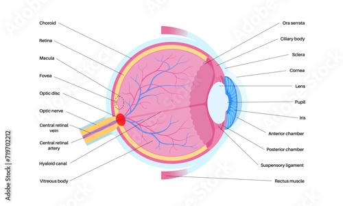 Blind spot poster