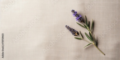 Purple Floral Twig On Cotton Tablecloth Background. Lavender on a Natural Linen Fabric. Generative AI