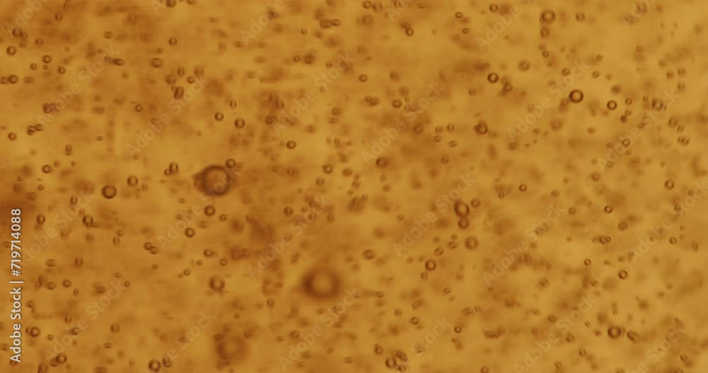 Pouring Craft Beer Into Glass Extreme Close Up Beef Bubbles. Yellow Craft Beer. Pouring Craft Beer Into Glass Extreme Close Up Beef Bubbles. Yellow Craft Beer.
