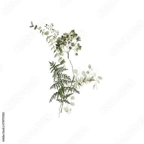 Watercolor floral composition. Hand painted flowers  green forest leaves of fern  eucalyptus leaf. Bouquet isolated on white background. Botanical illustration for design  print or background