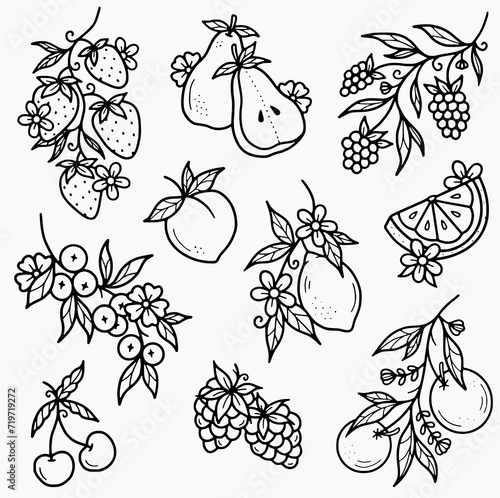 Summer fruit flowers outline vector SVG
