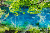 日本の風景　山形県遊佐町　神秘の池　丸池様	
