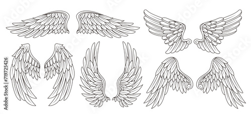 Set of linear heraldic wings. Collection of black and white angel or bird wings with feathers. Design element for tattoo, logo or mascot. Outline flat vector illustrations isolated on white background