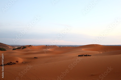 Sahara desert Morroco