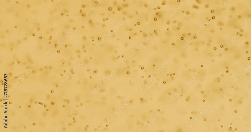Pouring Craft Beer Into Glass Extreme Close Up Beef Bubbles. Yellow Craft Beer. Pouring Craft Beer Into Glass Extreme Close Up Beef Bubbles. Yellow Craft Beer.