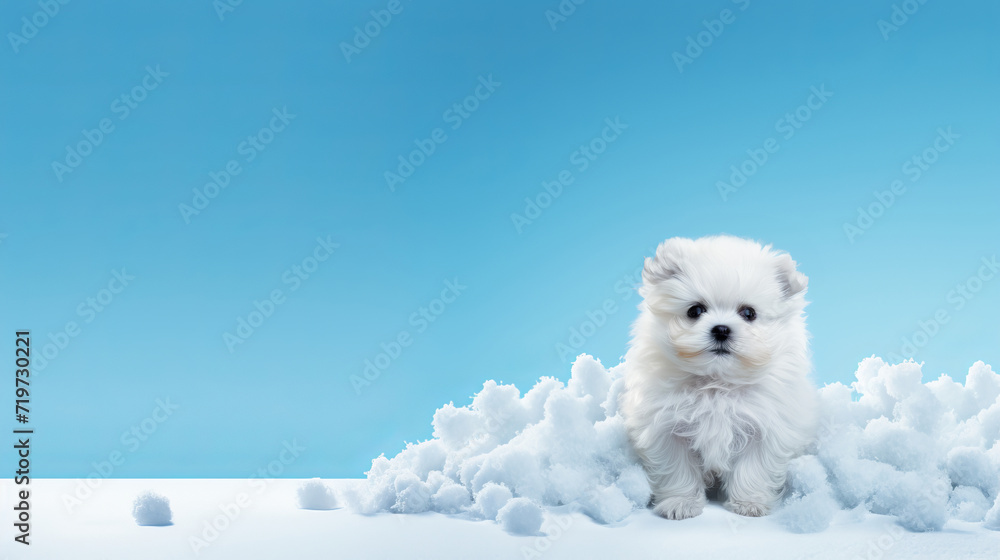 White Fluffy Puppy in Snowy Wonderland on Blue Background with Copy Space