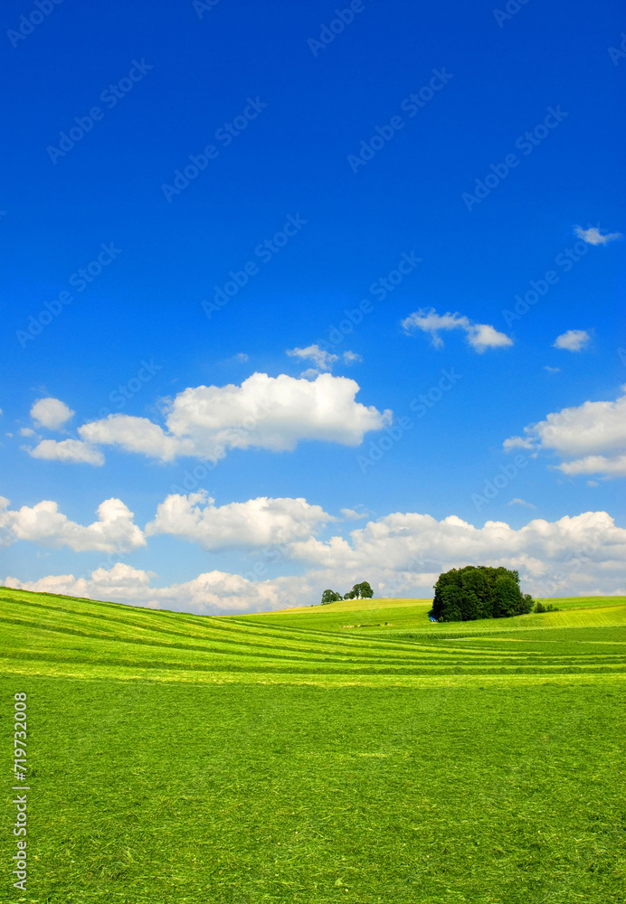 Meadow landscape with mown meadows, hay harvest, and blue sky with white clouds, near Lake Starnberg, Bavaria, Germany, Europe