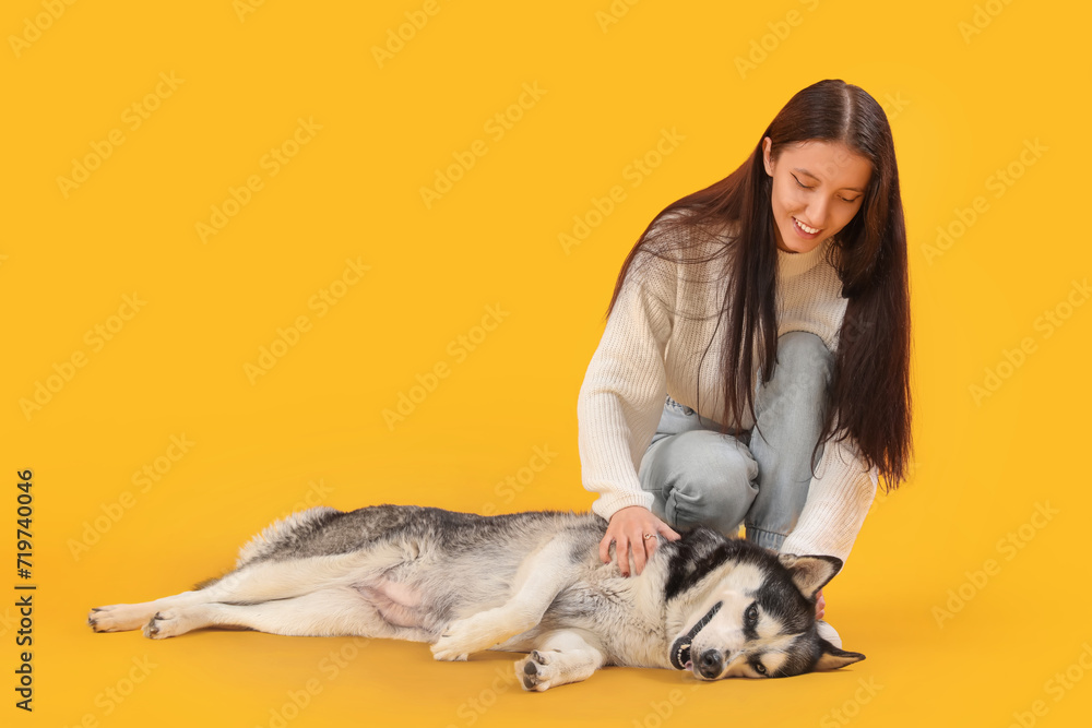 Beautiful young woman with Husky dog on yellow background Beautiful young woman with Husky dog on yellow background