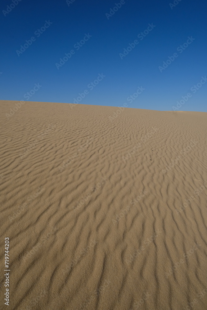 A close-up of the Pilat dune. The Pilat dune is the highest in Europe. La Teste-de-Buch, France - January 25, 2024.