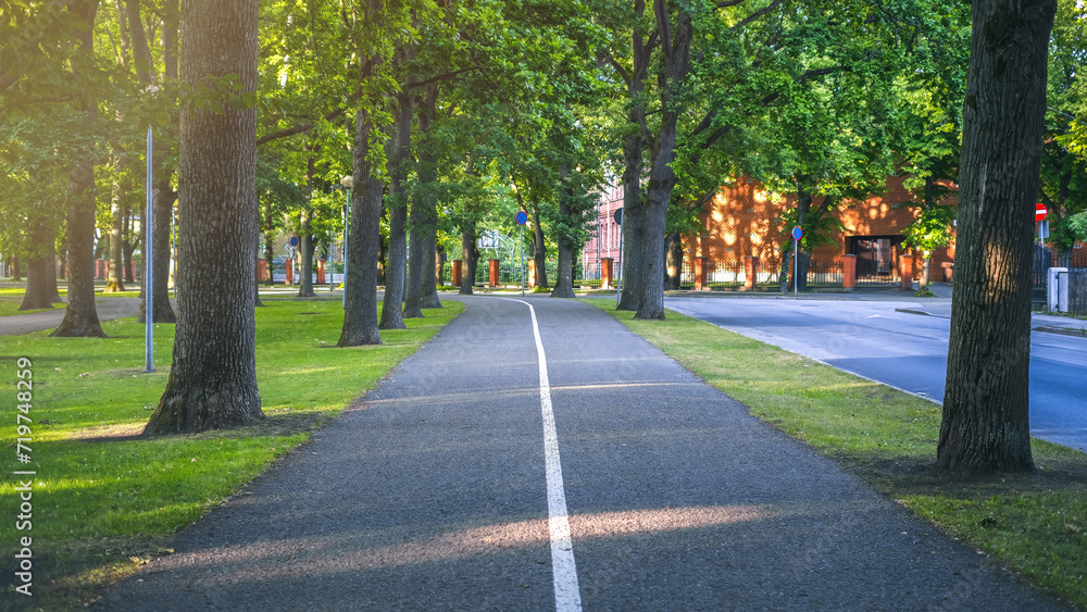 A road with trees and grass in summer day A road with trees and grass in summer day