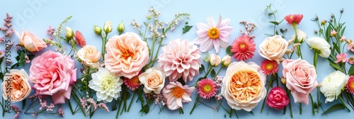 Horizontal banner with various roses  dahlias  asters on blue