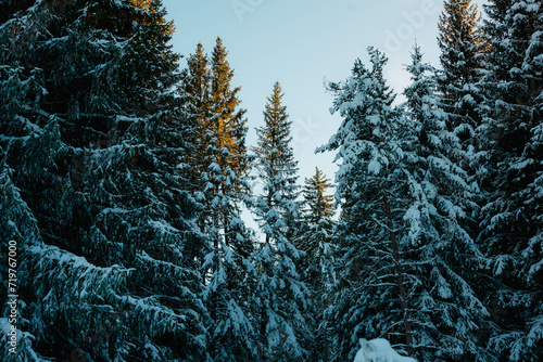 sunny mountains in winter in Europe 