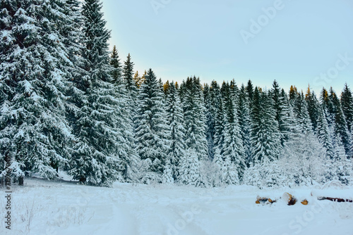 sunny mountains in winter in Europe 