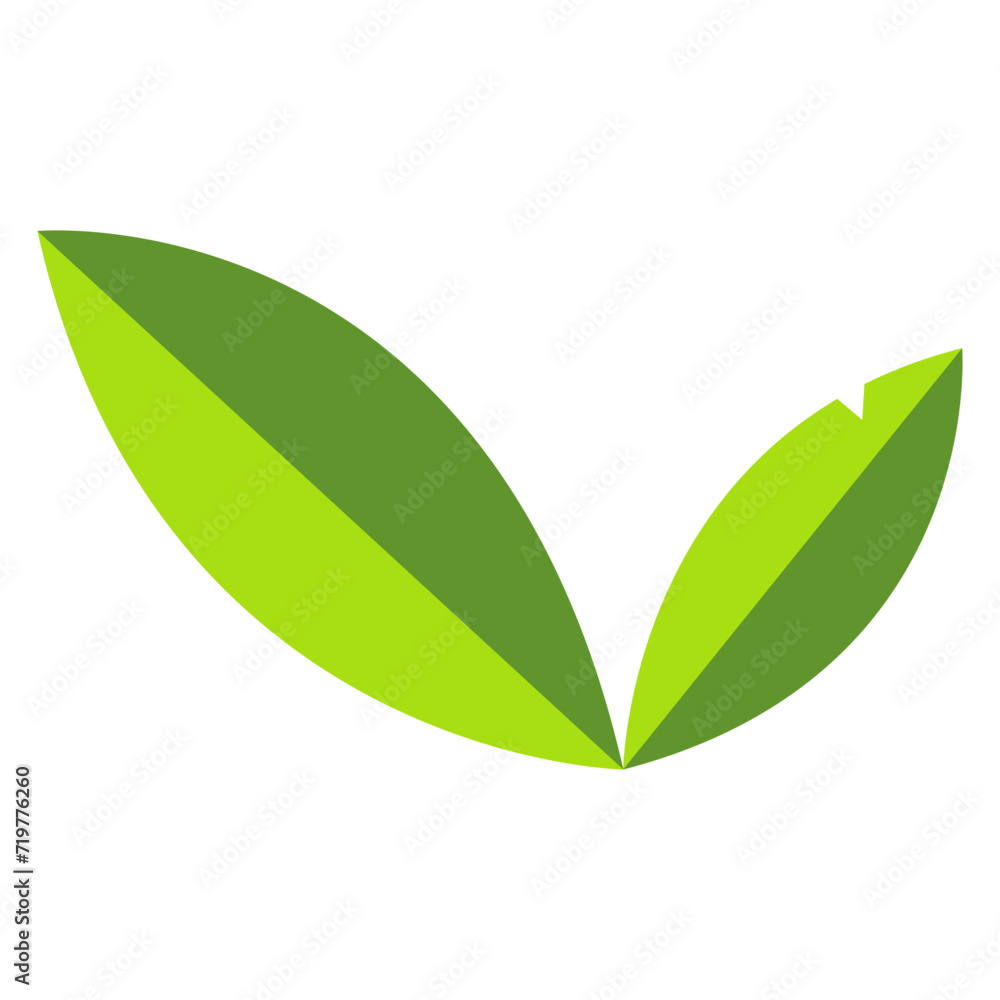 green leaf isolated on white green leaf isolated on white