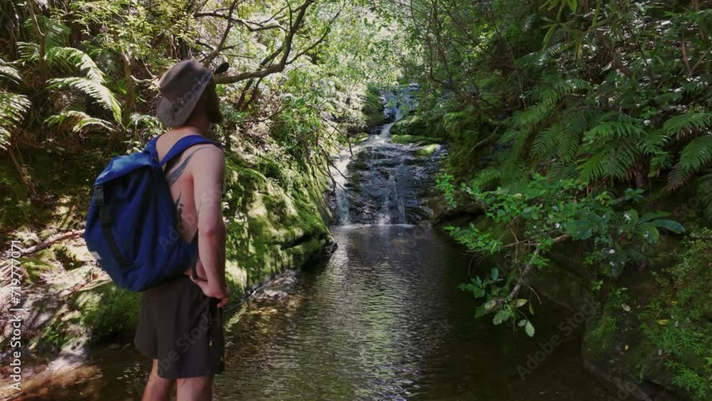 Man in a forest and and looking over a river river spring. Coromandel, New Zealand Man in a forest and and looking over a river river spring. Coromandel, New Zealand