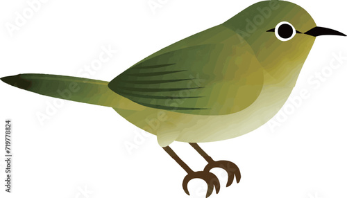 アイコン　あしらい　飾り　メジロ　鳥　春　水彩　テクスチャ　イラスト素材