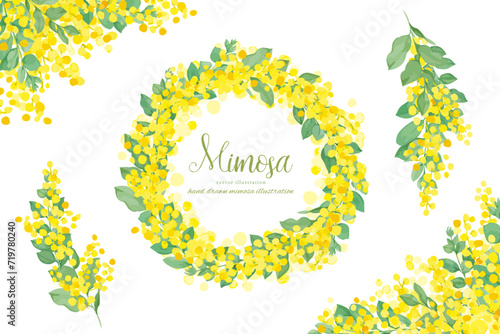 水彩で描いたパールアカシアのナチュラルフレーム