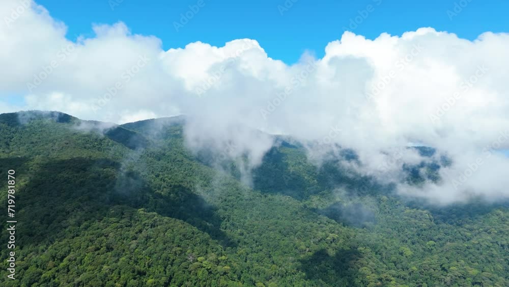 Green Mountains Dense Forest Covered in Clouds, Flying through the Clouds, Nature Habitat Ecosystem Forest Carbon Dioxide, Wild Nature Above the Clouds Mixed Deciduous-Evergreen Forest Green Mountains Dense Forest Covered in Clouds, Flying through the Clouds, Nature Habitat Ecosystem Forest Carbon Dioxide, Wild Nature Above the Clouds Mixed Deciduous-Evergreen Forest