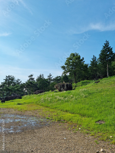 This is a dolmen park in Jeolla-do, South Korea. © binimin